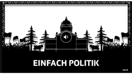 Echo der Zeit Einfach Politik Hackerangriff