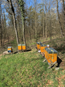 Sonnenstrahlen wärmen die Magazine im Frühling