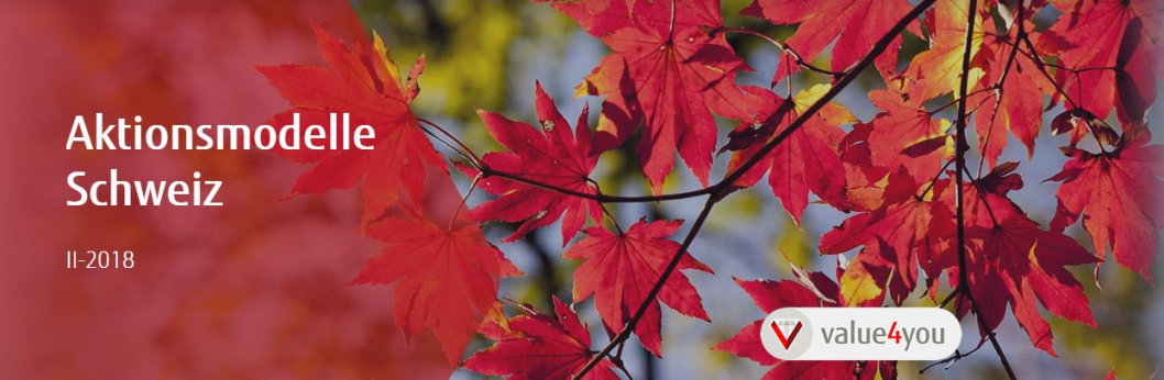 V4U-Herbst-2018.JPG