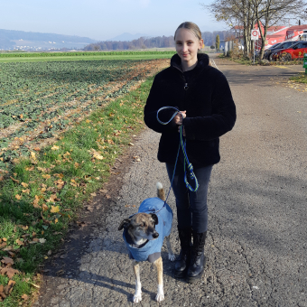 Inklusive Büro-Hund Ausführen über Mittag