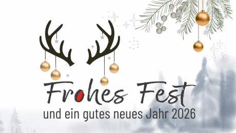 Frohe Festtage wünscht das xinfra-Team